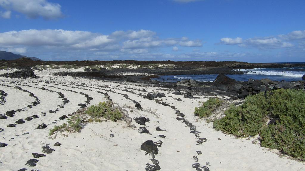 Marysol 6 Terrace With Sea Views, Close To The Sea Punta Mujeres Room photo